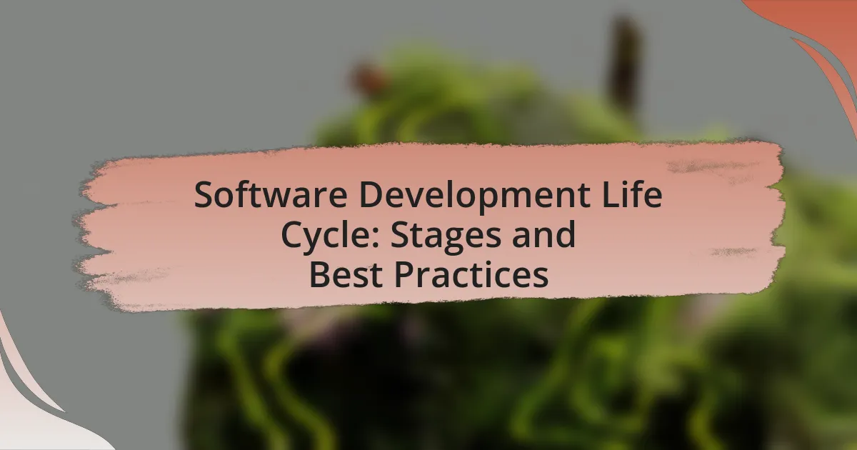 Software Development Life Cycle: Stages and Best Practices