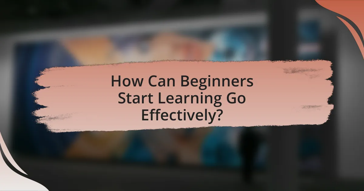 How Can Beginners Start Learning Go Effectively?