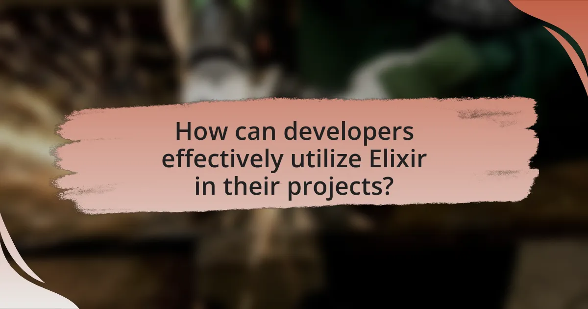 How can developers effectively utilize Elixir in their projects?