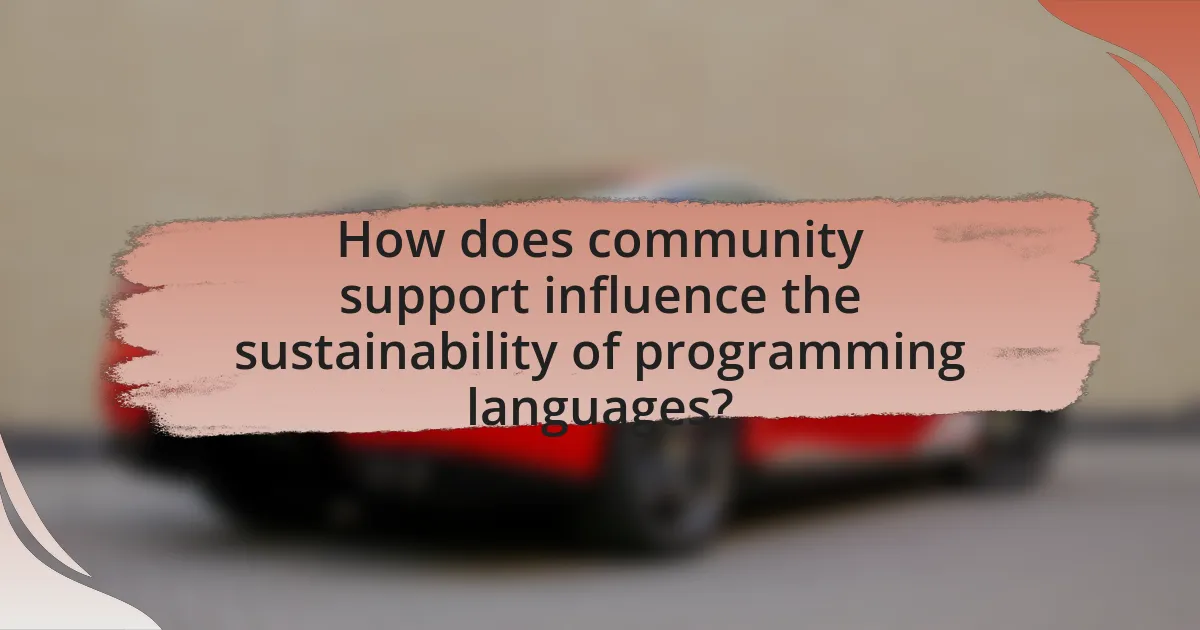 How does community support influence the sustainability of programming languages?