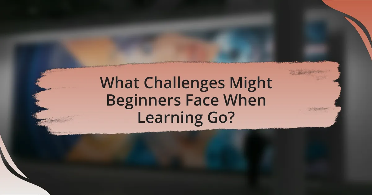 What Challenges Might Beginners Face When Learning Go?