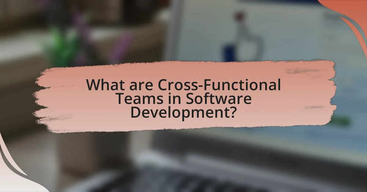 What are Cross-Functional Teams in Software Development?