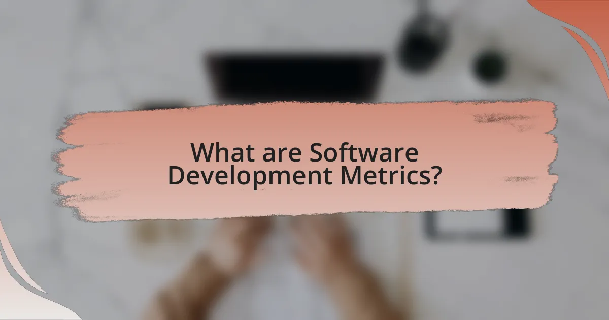 What are Software Development Metrics?