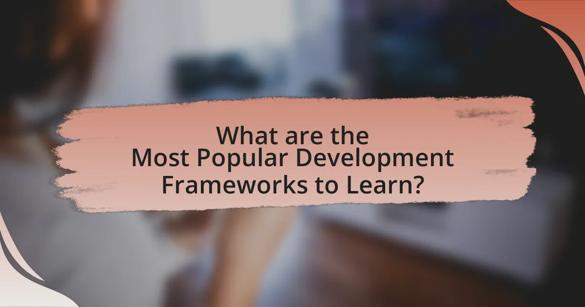 What are the Most Popular Development Frameworks to Learn?