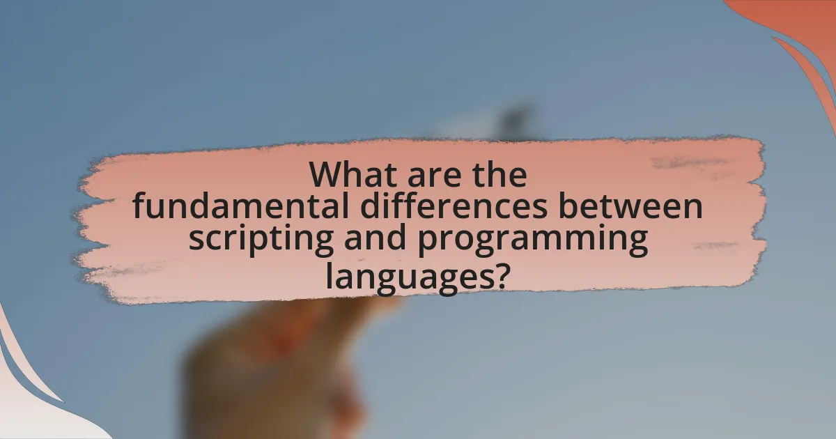 What are the fundamental differences between scripting and programming languages?