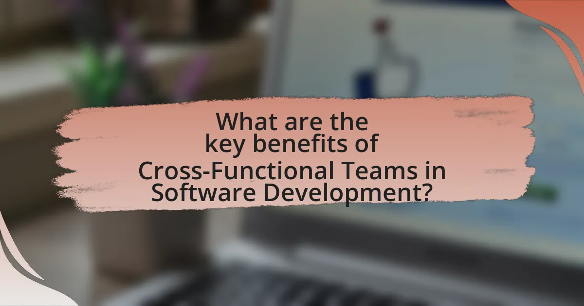 What are the key benefits of Cross-Functional Teams in Software Development?