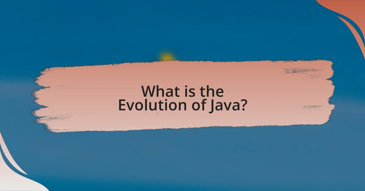 What is the Evolution of Java?