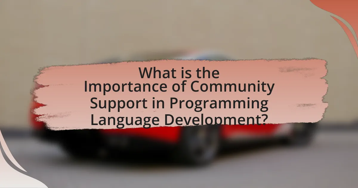 What is the Importance of Community Support in Programming Language Development?