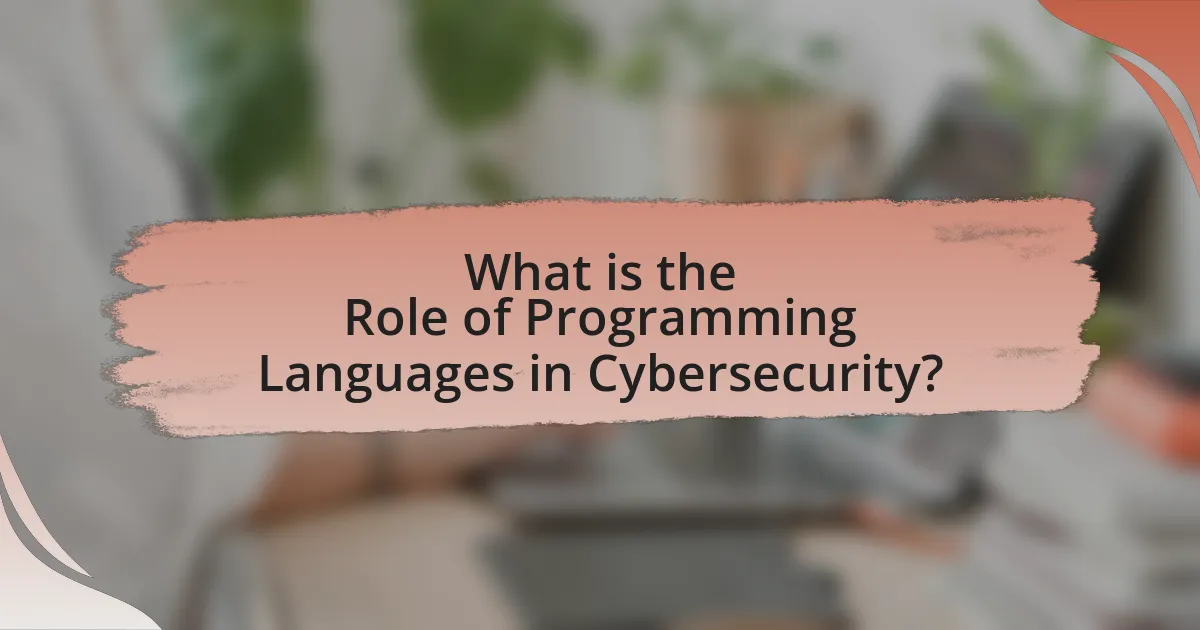 What is the Role of Programming Languages in Cybersecurity?