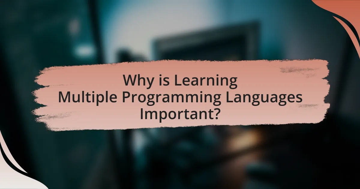Why is Learning Multiple Programming Languages Important?